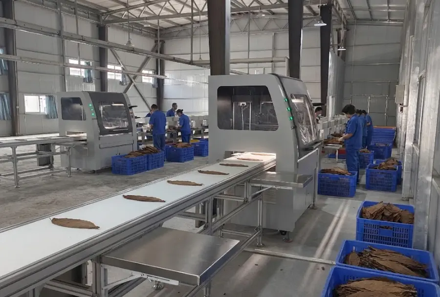 Modern tobacco processing facility